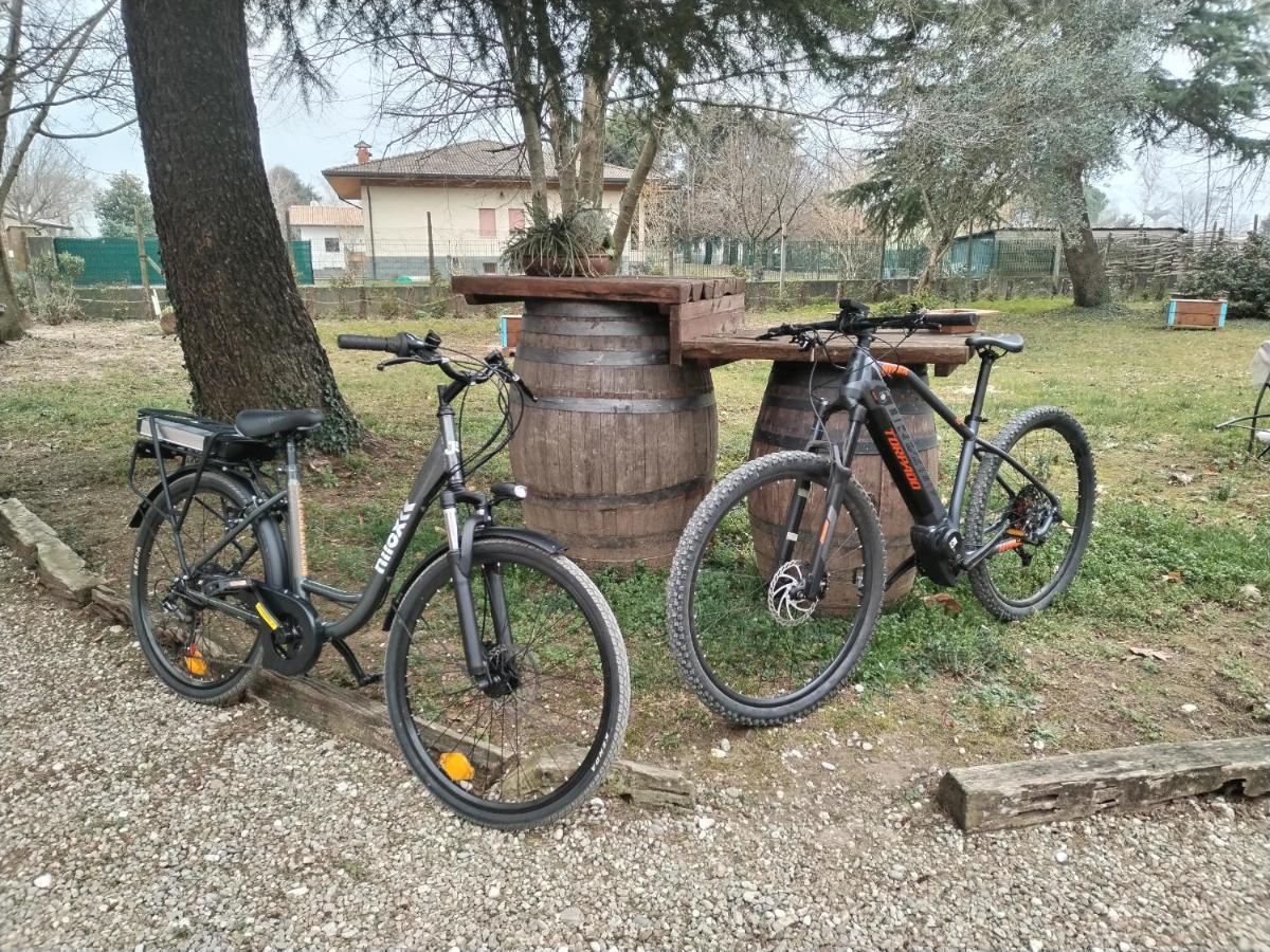Agriturismo Le Oche Selvatiche Lauzacco Exterior photo